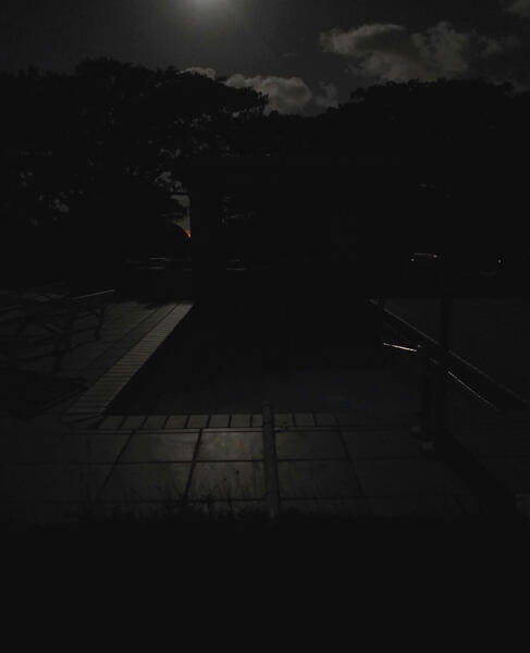 Night Pool, 2015, Archival pigmented print, 20" x 15"