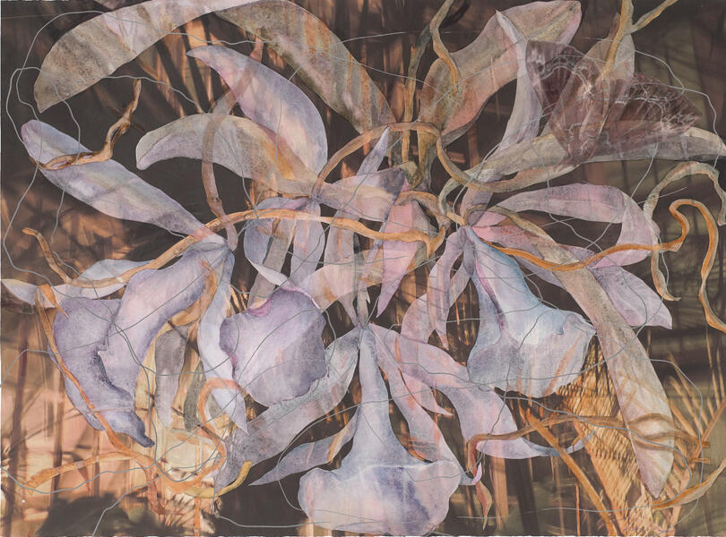 Ames’ Orchid, 2012, Watercolor & Archival Ink Jet Print on Paper & Acrylic, 21.5” x 29”