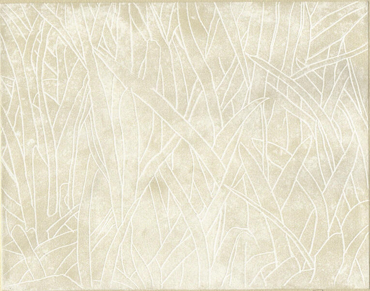 Field Guide-Grasses, 1/1, 2019, etching on paper, 8” x 10”