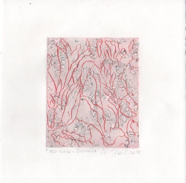 Field Guild-Bromelia, 1/1, 2019, etching, embossing on paper, 5” X 4”