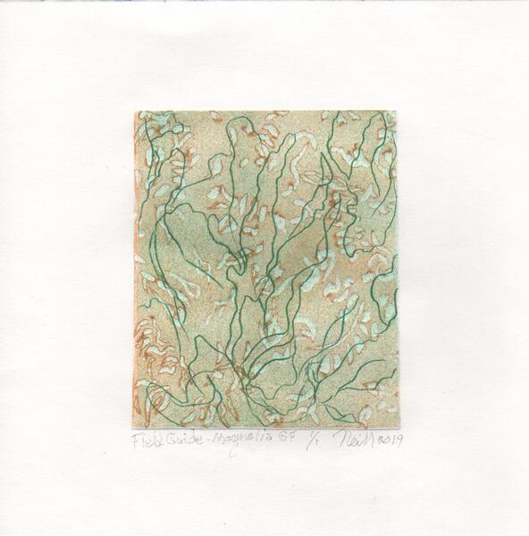 Field Guide-Magnolia Grandiflora, 1/1, 2019, etching, embossing, 5” X 4”