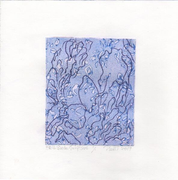 Tulip Tree Blue, 1/1, 2019, etching, embossing on paper, 5” X 4”