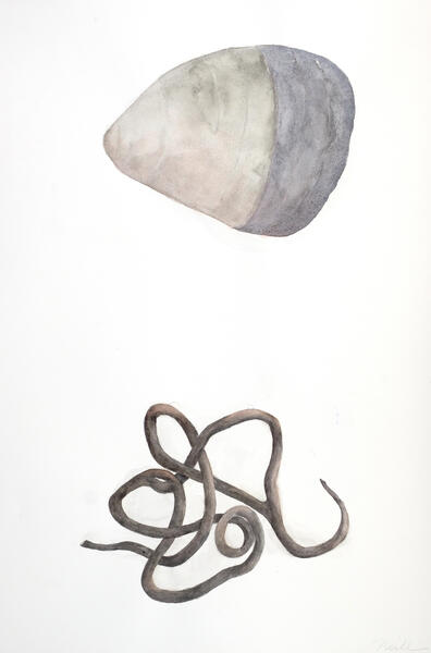 Stone / Vine, 2020, Watercolor, Colored pencil, 30” x 20”