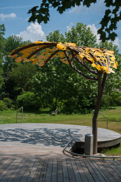 Ginkgo Canopy-side view