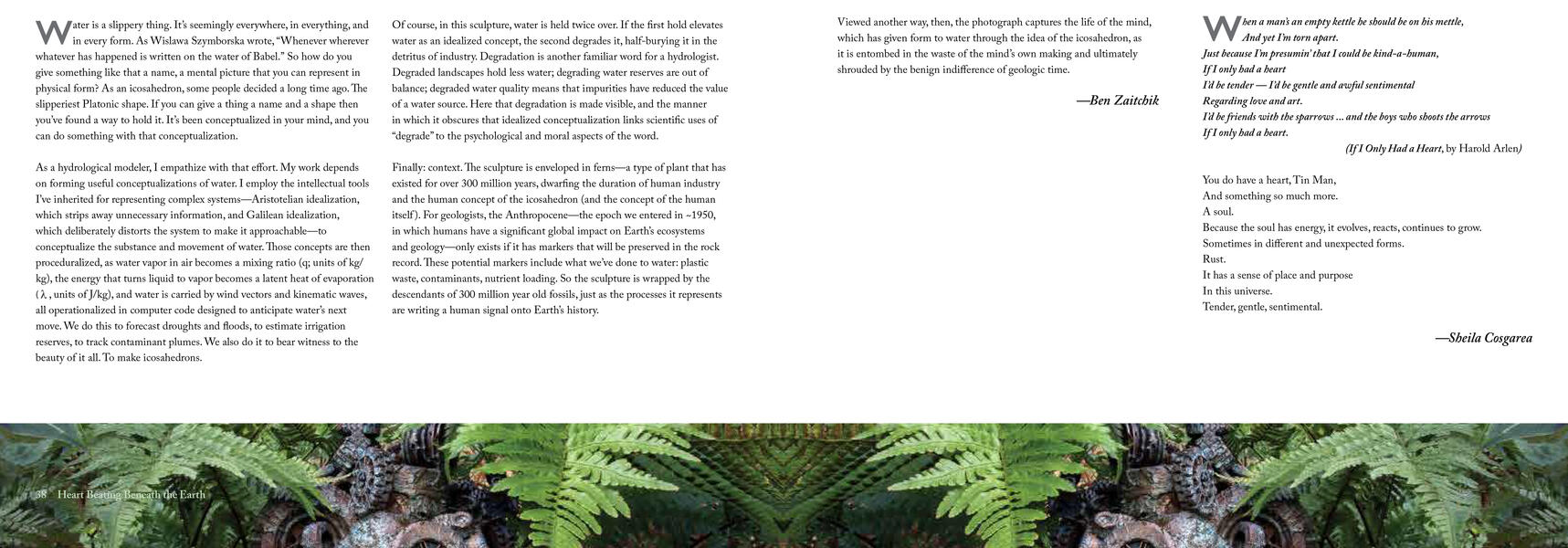 Heart Beating Beneath the Earth, pages 38-29
