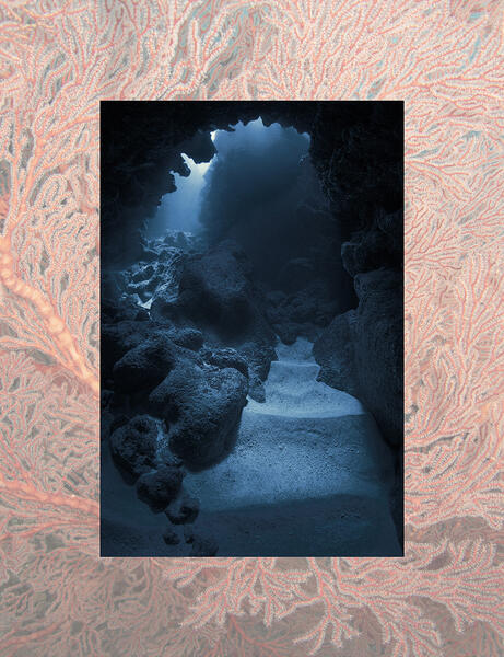 Jann Rosen-Queralt Underwater Photograph