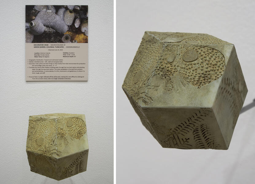 dodecahedron, plexiglass, rhombic, laser cut acrylic