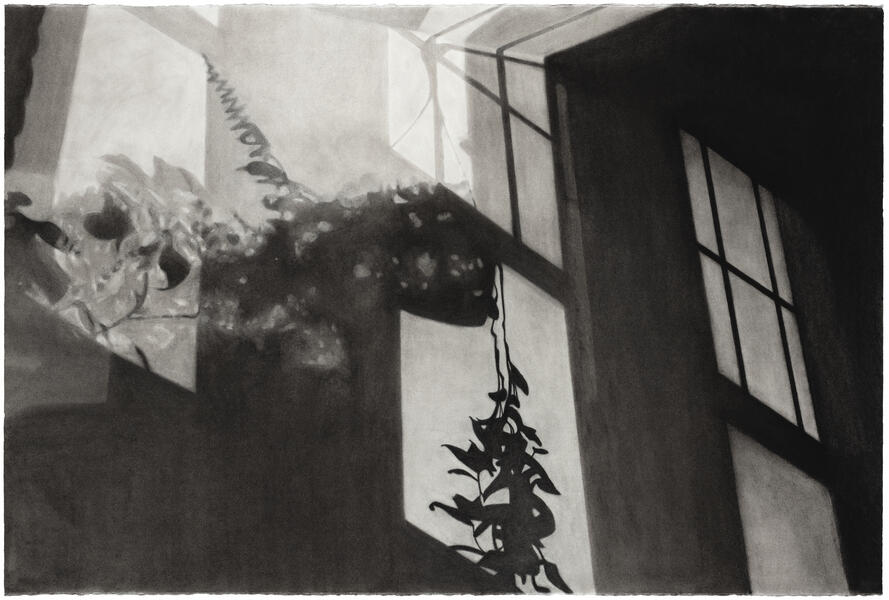 Drawing of a shadow of plants and windows on a wall at night