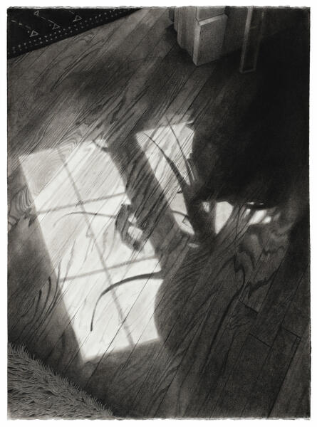 Black and white drawing of a window and plant shadow on a wood floor