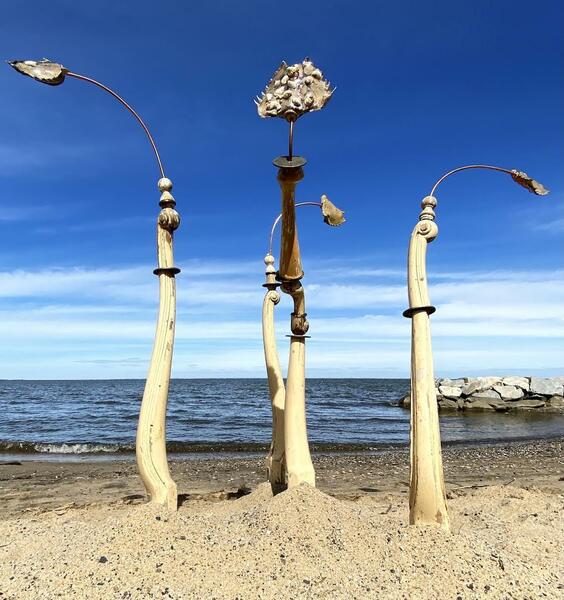 outdoor sculpture, assemblage, found object, horseshoe crabs