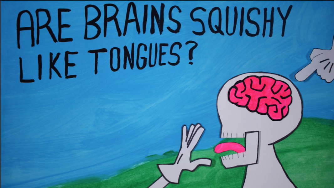 Are Brains Squishy?