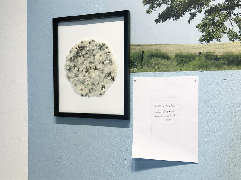 Framed natural material in a circle shape next to a white paper pinned to a blue wall and the corner of a larger image