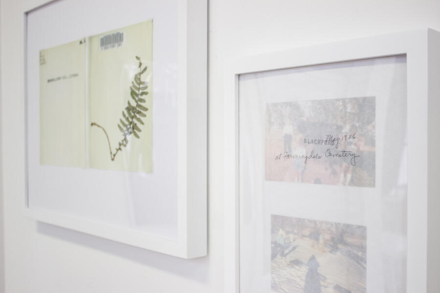 Close up of framed objects and photographs