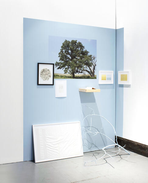 Blue wall seen at an angle with large image of a tree and smaller framed images on the wall along with a blue tree branch