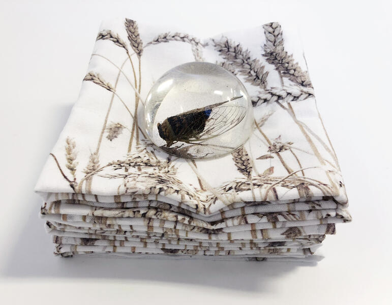 Cicada preserved in clear acrylic sitting in the middle of fabric printed with wheat imagery