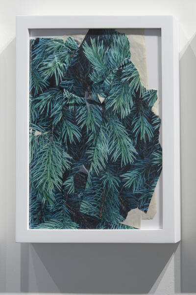 Folded wrapping paper printed with realistic pine boughs