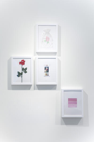 A set of four frames containing a rose and other objects on a white wall