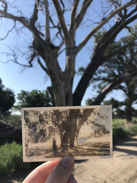 Hand holding an antique photograph of a woman standing next to a tree that matches the background it is held in front of