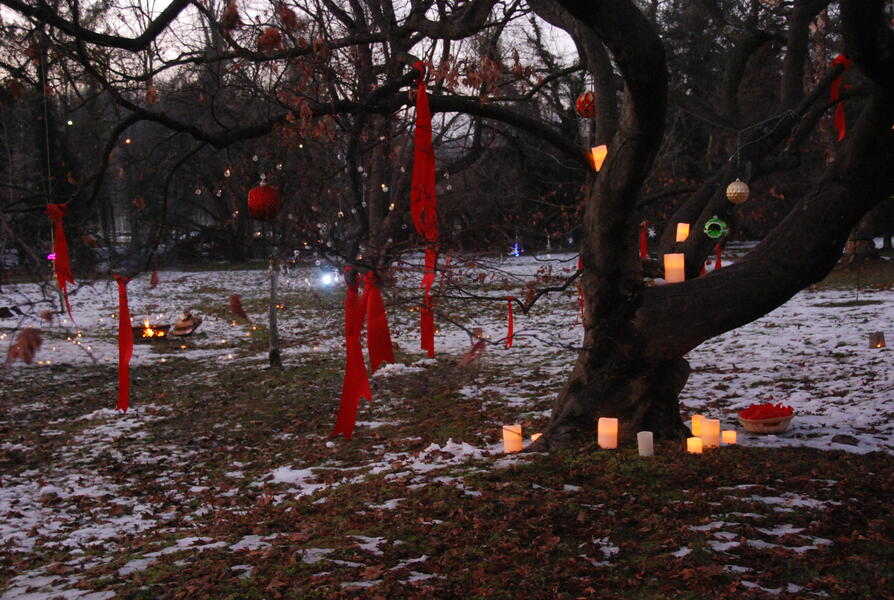 Wish Tree