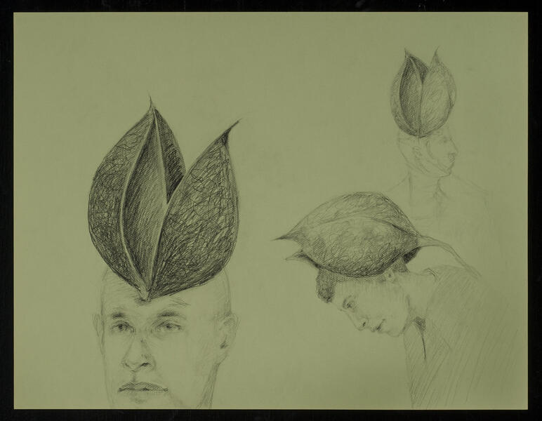 graphite, drawing, pods, pod heads, nature, balancing, seeds