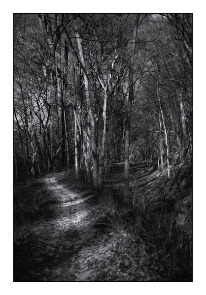 Mill Race Trail with Snow, Oella, Maryland