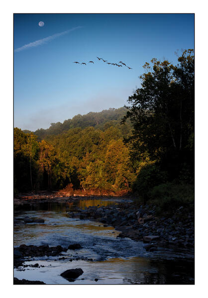 Moon, Geese and Patapsco Dawn, Oella, Maryland
