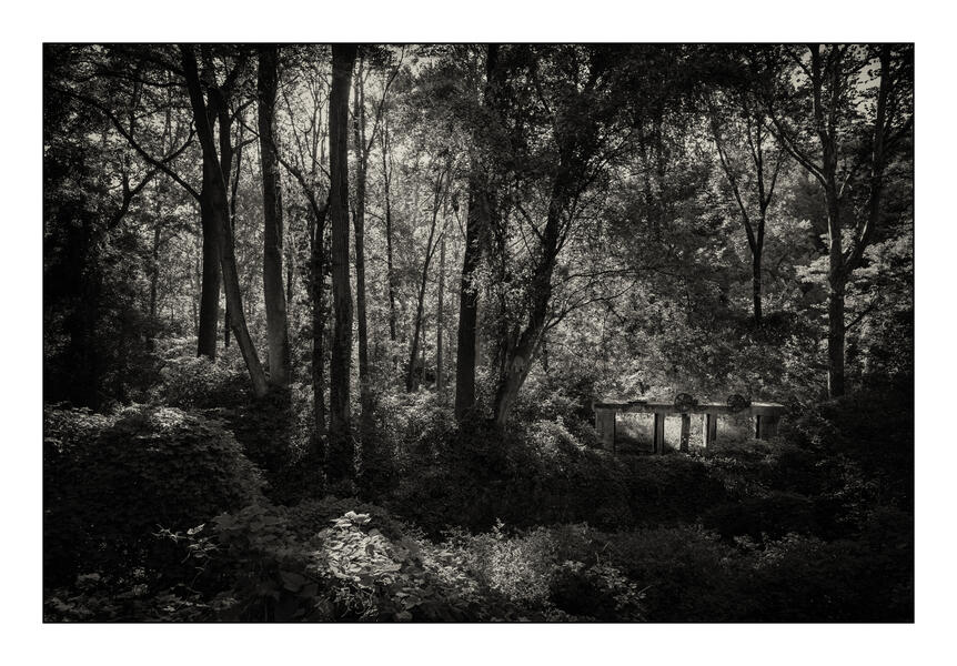 Mill Race Gate in Fall, Oella, Maryland