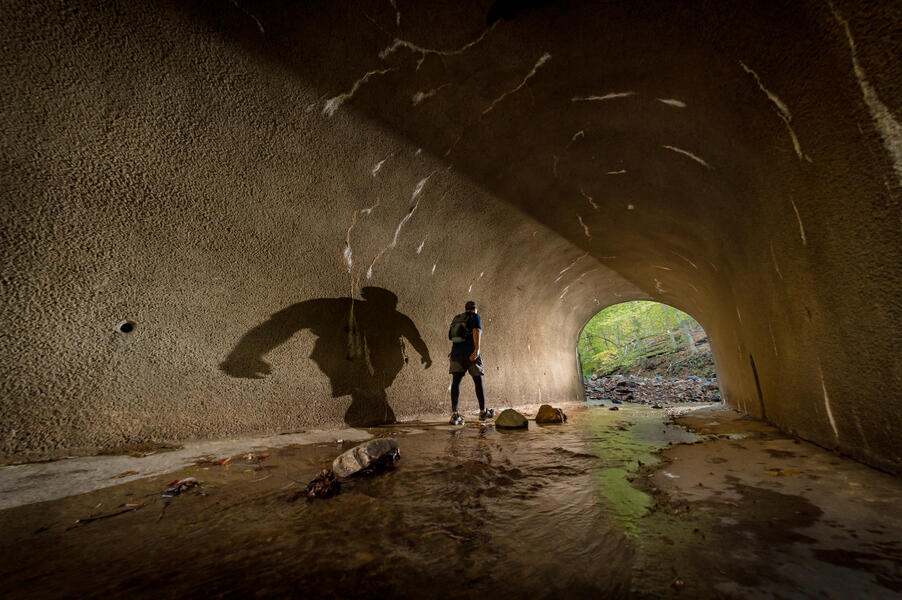 Chasing Shadow, Patapsco Valley 50K Ultramarathon