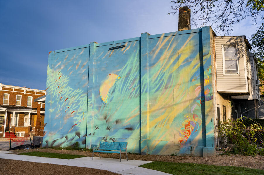 Darley Park Gateway Mural, #1