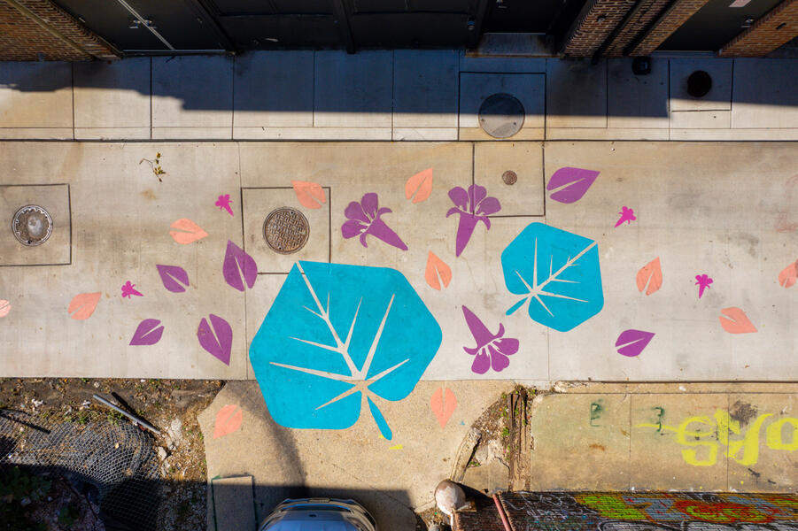 Bromo Painted Path aerial view at Tyson Street and Inloes Alley showing large painted teal leaves, purple flowers, and pink seedpods.