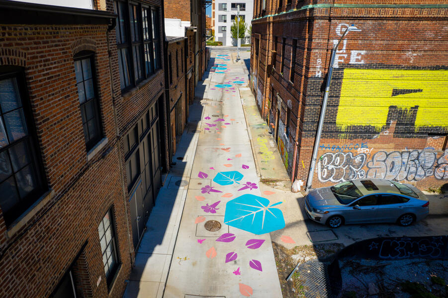 Bromo Painted Path birds eye view at Tyson Street and Inloes Alley.