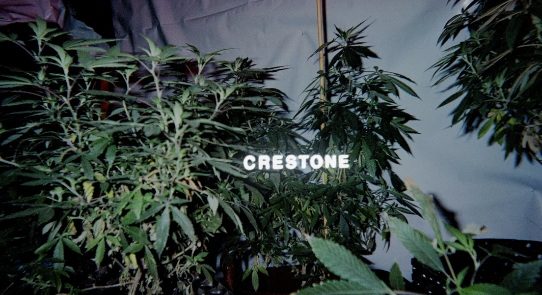Crestone - Title Card