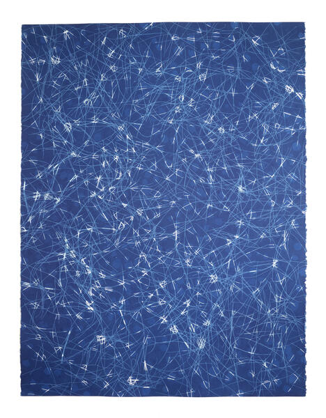 Cyanotype print created using three exposures of scattered pine needles and clover petals