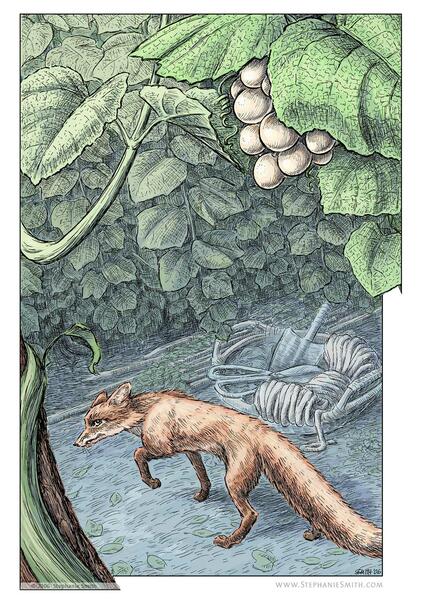 The Fox and the Grapes