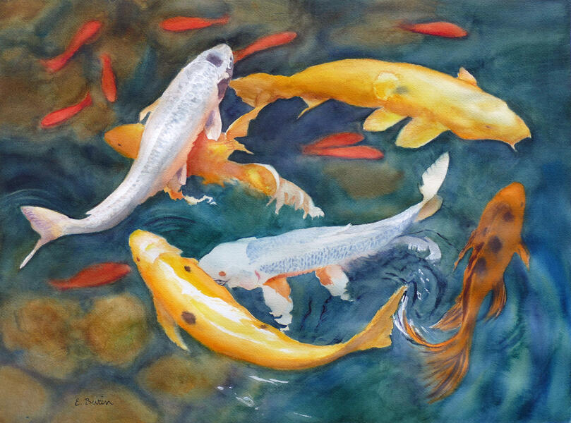 Watercolor painting of fish (koi and goldfish) in pond