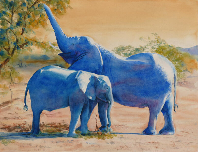 Watercolor painting of mother and baby elephant feeding