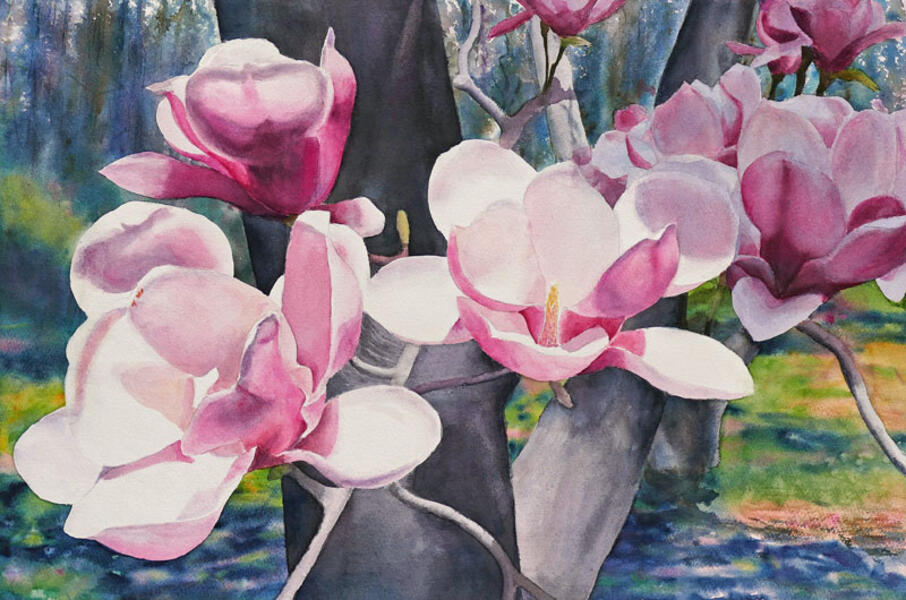 Watercolor painting of magnolia blossoms by Elizabeth Burin