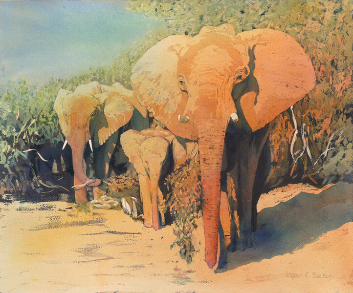 Watercolor painting of an elephant matriarch with a grown daughter and a baby elephant