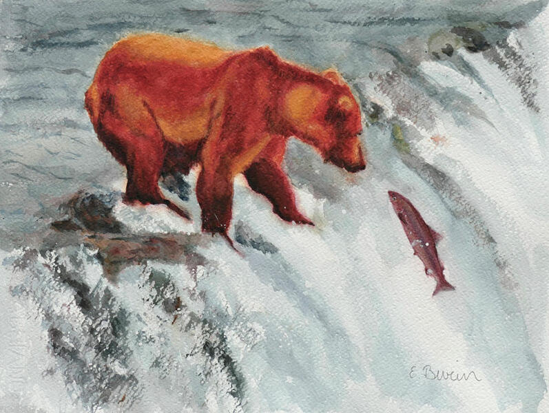 Watercolor painting of a salmon jumping a waterfall towards a waiting brown bear