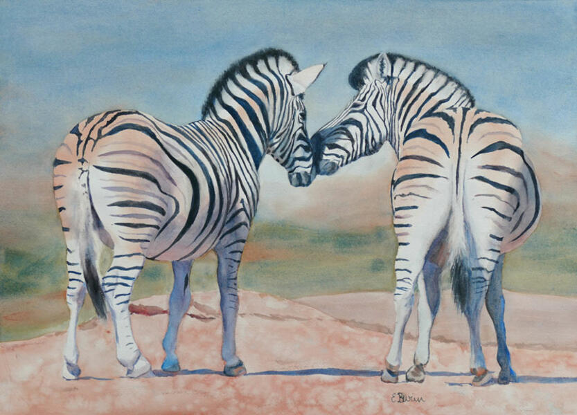 Watercolor painting of two zebras nuzzling