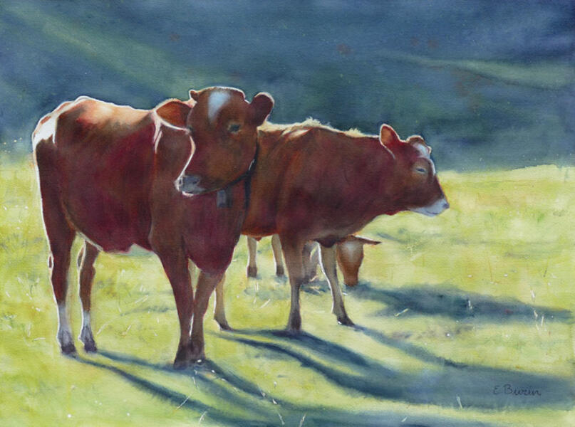 Watercolor painting of cattle on a pasture in evening light