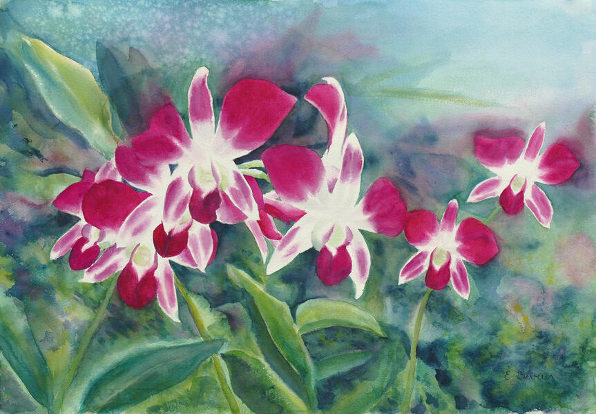 Orchid Garden, watercolor painting by Elizabeth Burin, flowers, floral painting, orchids, plants