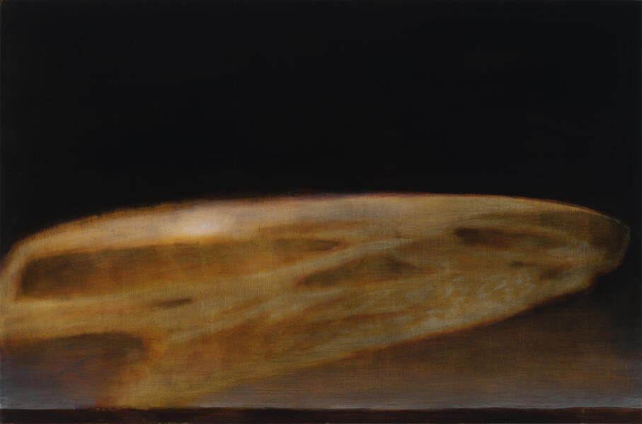 Anamorphosis I, 2017, oil on panel, 24 x 36 in.