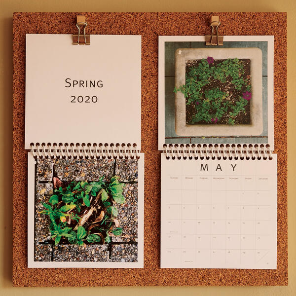 Square Calendar #2: Spring / May (2020) 
