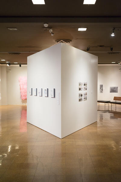 Installation View (back)