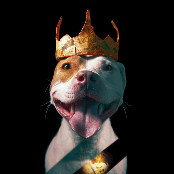 a smiling dog wearing a paper crown